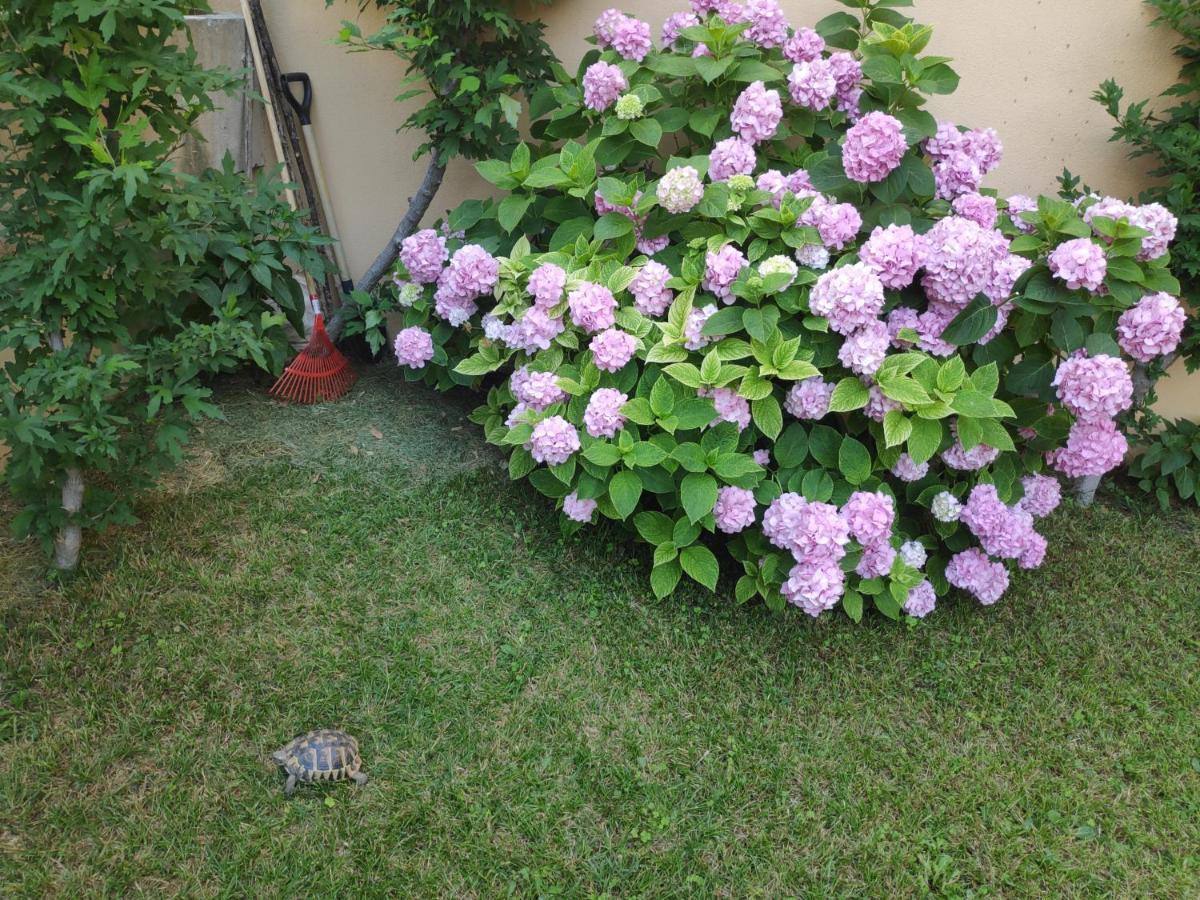 Spacious Apartment With Big Garden Near Beach Сплит Екстериор снимка